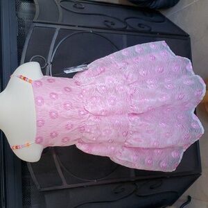 Girls Blueberi Blvd Pink Organza Dress Embossed Flowers Bead Size 4/5 10/12 NWT